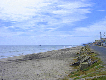 beachfront real estate